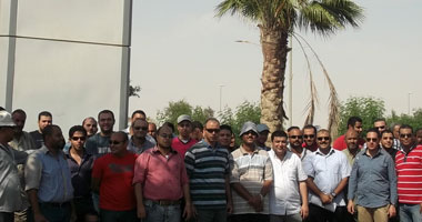 نقابة الكهرباء بالغربية تعلن عدم مشاركتها فى إضراب 22 نوفمبر