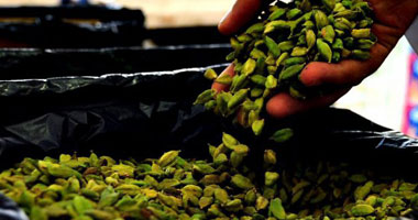 شعبة البن: 10% زيادة فى استيراد البن فى 2018 .. و "الأندونيسى" على القمة