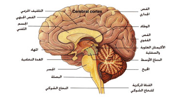 ما هى أداة القياس غلاسكو؟وما هى فائدتها؟