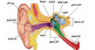 ما هو تصلب عظمة الركاب بالأذن؟