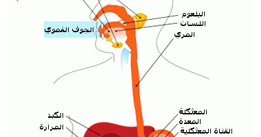 الجديد فى علاج ارتجاع المرىء 