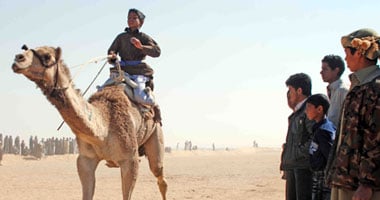 نادى الهجن بالوادى الجديد ينظم سباقا محليا للإبل بباريس 