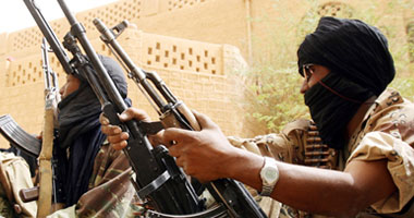 القادة الأفارقة يعتزمون المطالبة بتحقيق أممى بشأن مالى
