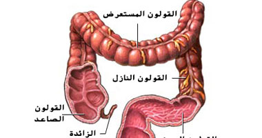 علاجات جديدة لنزيف المعدة بالمؤتمر الرابع لدراسة حركية الأمعاء