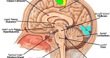 تقنية حديثة لعلاج المخ بدون مشرط  