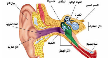 كيفية حماية الطفل من الإصابة بالتهابات الأذن الوسطى