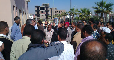 محمد حامد حسين يكتب: الشعب لسة يريد