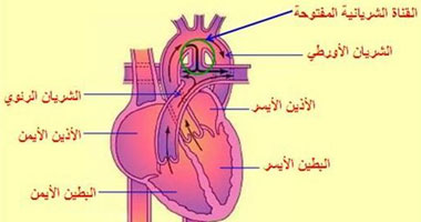 الاكتئاب يزيد من نوبات القلب