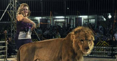 فاتن الحلو داخل القفص مع 15 أسداً ونمراً