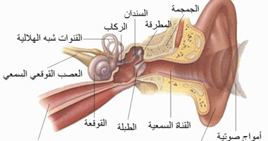 أعراض ورم العصب السمعى أبرزها الدوخة وعدم الاتزان