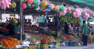 الصندوق الاجتماعى ينشئ 2000 سوق متحرك للشباب بشمال سيناء