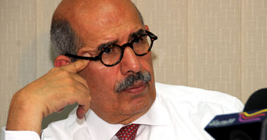 "البرادعى": هناك من يعتقد أن ما حدث لم يكن ثورة