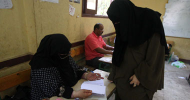 رئيس لجنة بقويسنا: سنسمح بالتصويت حتى آخر ناخب باللجنة
