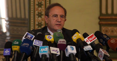 حرب: "ماكين" أبدى قلقه على عملية التحول الديمقراطى بمصر