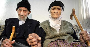 الدهون الضارة تؤثر سلبا على وظائف المخ 