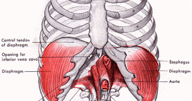علاج فتق الحجاب الحاجز وأعراضه