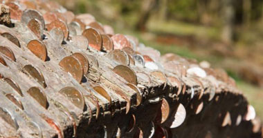 بالصور: قطع نقدية تظهر فى ظروف غامضة بجذوع الشجر