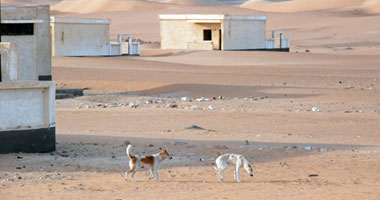 معاريف تشكك فى قدرة مصر على استعادة الأمن بسيناء