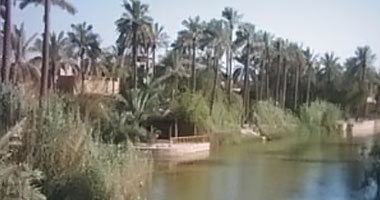 وزير البيئة العراقي: مواجهة تداعيات التغيرات المناخية على رأس أولوياتنا