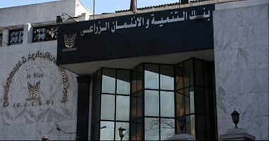 الأحد.. "بنك الائتمان" : أولى دفعات قروض "البتلو"
