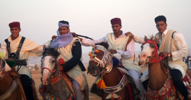 اختتام مهرجان الشرقية الـ17 للخيول العربية